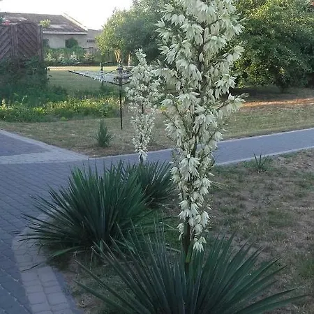 Nad Woda Kolo Miedzyzdrojow Lejlighed *